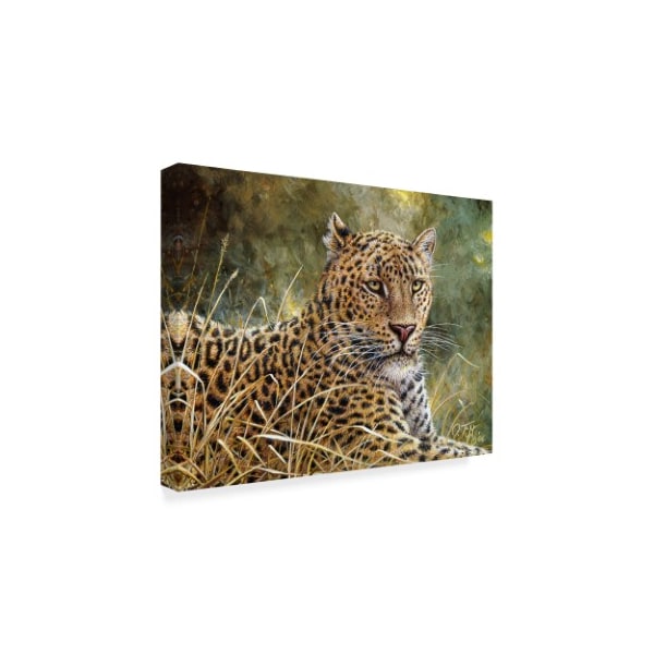 Jeff Tift 'Leopard Portrait' Canvas Art,35x47